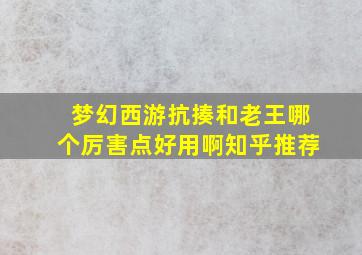 梦幻西游抗揍和老王哪个厉害点好用啊知乎推荐