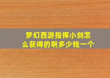 梦幻西游指挥小剑怎么获得的啊多少钱一个