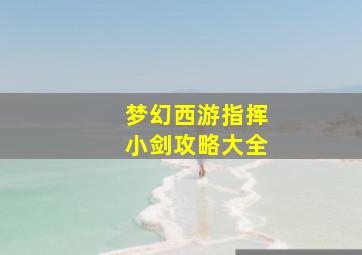 梦幻西游指挥小剑攻略大全