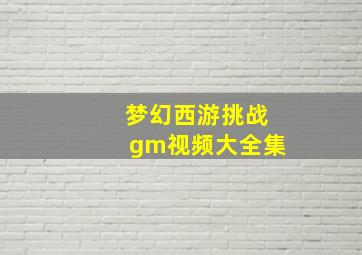 梦幻西游挑战gm视频大全集