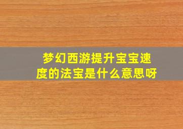 梦幻西游提升宝宝速度的法宝是什么意思呀