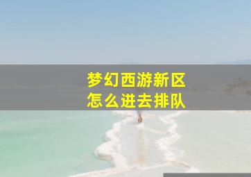 梦幻西游新区怎么进去排队