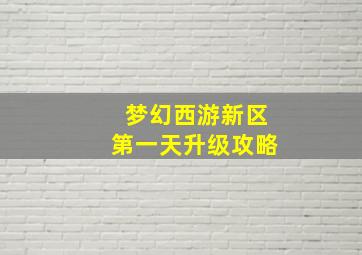 梦幻西游新区第一天升级攻略