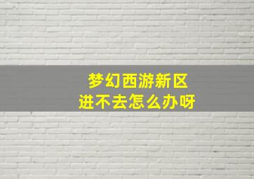 梦幻西游新区进不去怎么办呀