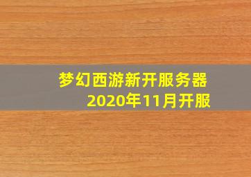 梦幻西游新开服务器2020年11月开服