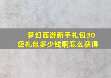 梦幻西游新手礼包30级礼包多少钱啊怎么获得