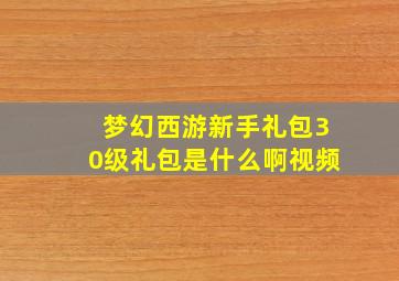 梦幻西游新手礼包30级礼包是什么啊视频