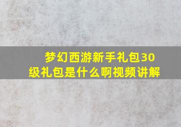 梦幻西游新手礼包30级礼包是什么啊视频讲解