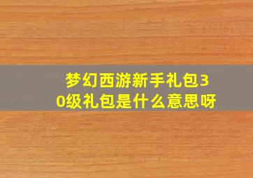 梦幻西游新手礼包30级礼包是什么意思呀