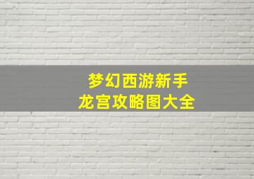 梦幻西游新手龙宫攻略图大全