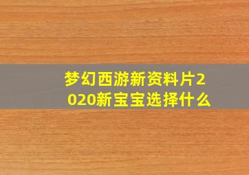 梦幻西游新资料片2020新宝宝选择什么