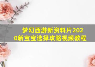 梦幻西游新资料片2020新宝宝选择攻略视频教程