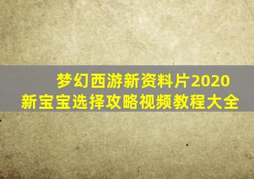 梦幻西游新资料片2020新宝宝选择攻略视频教程大全