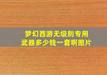 梦幻西游无级别专用武器多少钱一套啊图片