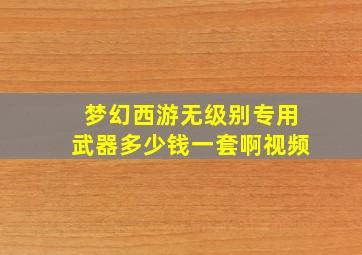 梦幻西游无级别专用武器多少钱一套啊视频