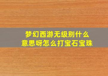 梦幻西游无级别什么意思呀怎么打宝石宝珠