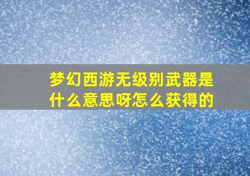 梦幻西游无级别武器是什么意思呀怎么获得的