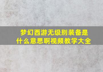 梦幻西游无级别装备是什么意思啊视频教学大全