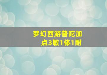 梦幻西游普陀加点3敏1体1耐