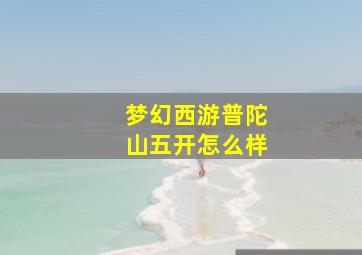 梦幻西游普陀山五开怎么样