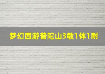 梦幻西游普陀山3敏1体1耐