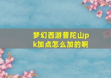 梦幻西游普陀山pk加点怎么加的啊