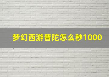 梦幻西游普陀怎么秒1000