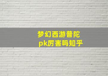 梦幻西游普陀pk厉害吗知乎