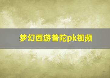 梦幻西游普陀pk视频