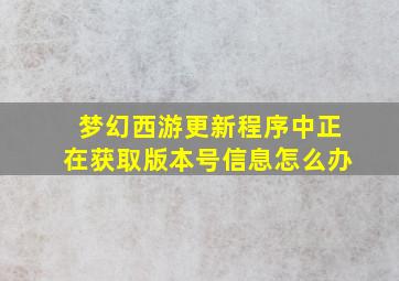 梦幻西游更新程序中正在获取版本号信息怎么办