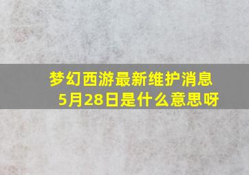 梦幻西游最新维护消息5月28日是什么意思呀