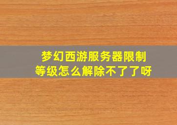 梦幻西游服务器限制等级怎么解除不了了呀