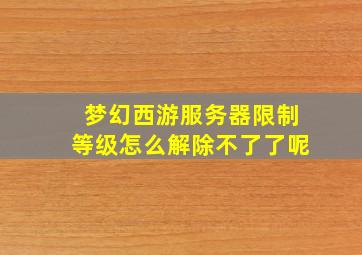 梦幻西游服务器限制等级怎么解除不了了呢