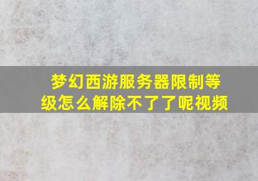 梦幻西游服务器限制等级怎么解除不了了呢视频