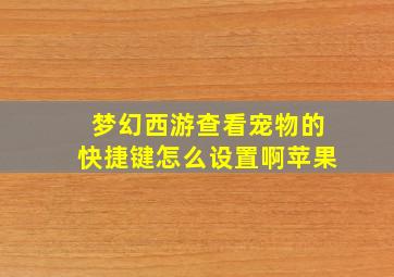 梦幻西游查看宠物的快捷键怎么设置啊苹果