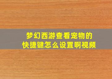 梦幻西游查看宠物的快捷键怎么设置啊视频