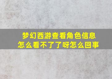 梦幻西游查看角色信息怎么看不了了呀怎么回事