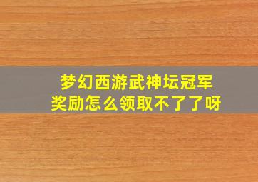 梦幻西游武神坛冠军奖励怎么领取不了了呀