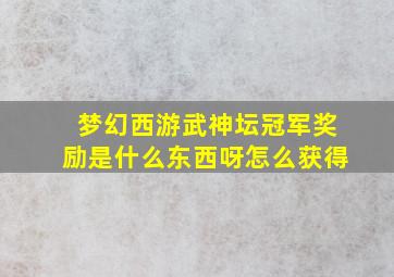 梦幻西游武神坛冠军奖励是什么东西呀怎么获得