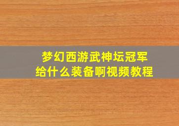 梦幻西游武神坛冠军给什么装备啊视频教程