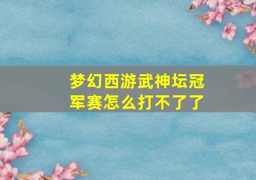 梦幻西游武神坛冠军赛怎么打不了了