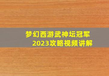 梦幻西游武神坛冠军2023攻略视频讲解