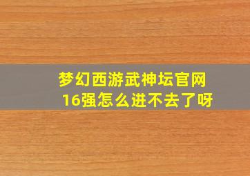 梦幻西游武神坛官网16强怎么进不去了呀