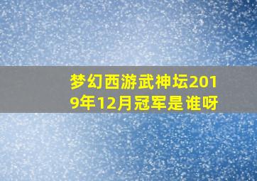 梦幻西游武神坛2019年12月冠军是谁呀