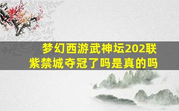 梦幻西游武神坛202联紫禁城夺冠了吗是真的吗