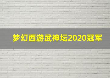 梦幻西游武神坛2020冠军