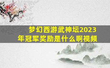 梦幻西游武神坛2023年冠军奖励是什么啊视频