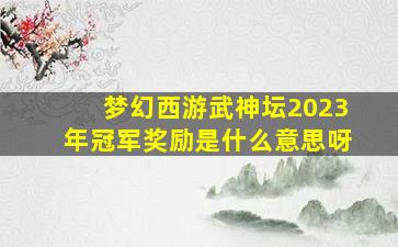 梦幻西游武神坛2023年冠军奖励是什么意思呀