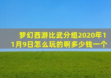 梦幻西游比武分组2020年11月9日怎么玩的啊多少钱一个