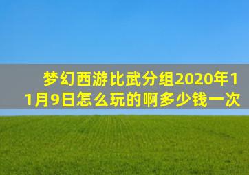 梦幻西游比武分组2020年11月9日怎么玩的啊多少钱一次